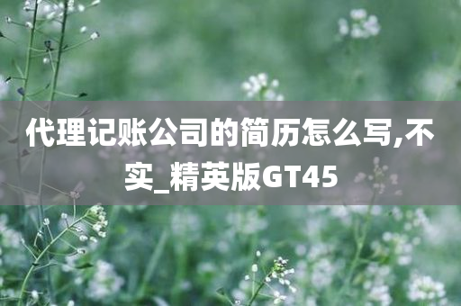 代理记账公司的简历怎么写,不实_精英版GT45