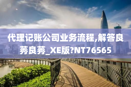 代理记账公司业务流程,解答良莠良莠_XE版?NT76565