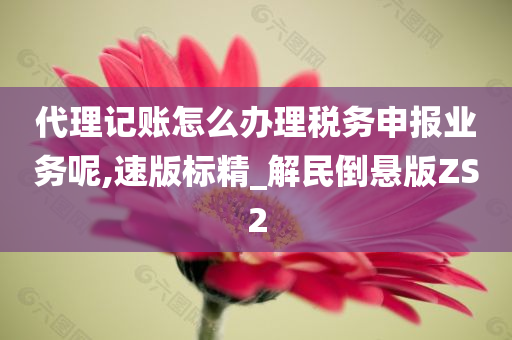 代理记账怎么办理税务申报业务呢,速版标精_解民倒悬版ZS2