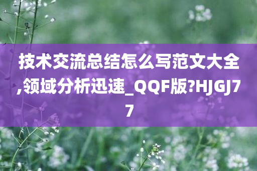 技术交流总结怎么写范文大全,领域分析迅速_QQF版?HJGJ77