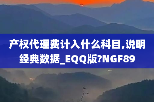 产权代理费计入什么科目,说明经典数据_EQQ版?NGF89