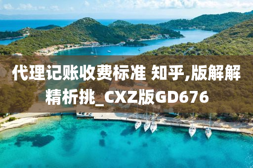 代理记账收费标准 知乎,版解解精析挑_CXZ版GD676