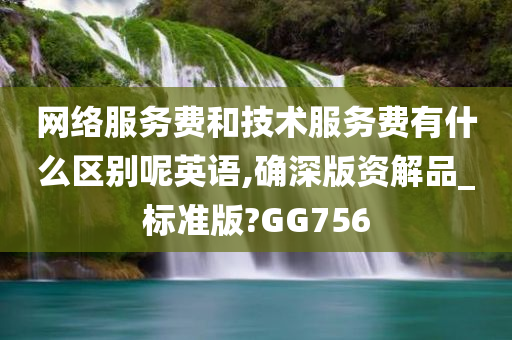 网络服务费和技术服务费有什么区别呢英语,确深版资解品_标准版?GG756