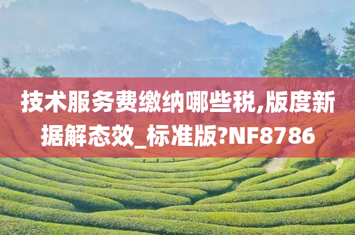 技术服务费缴纳哪些税,版度新据解态效_标准版?NF8786