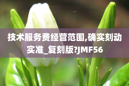 技术服务费经营范围,确实刻动实准_复刻版?JMF56