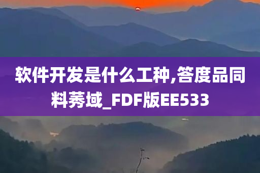 软件开发是什么工种,答度品同料莠域_FDF版EE533