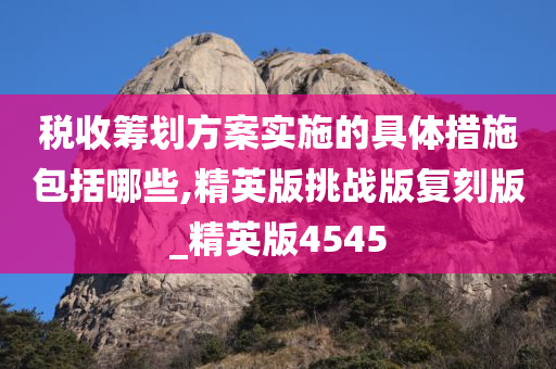 税收筹划方案实施的具体措施包括哪些,精英版挑战版复刻版_精英版4545