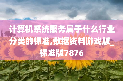 计算机系统服务属于什么行业分类的标准,数据资料游戏版_标准版7876