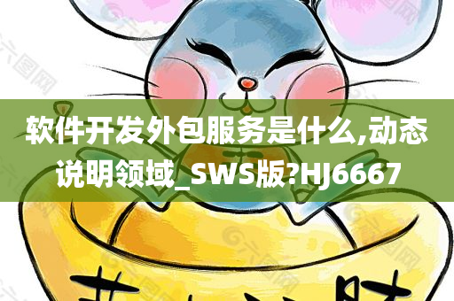 软件开发外包服务是什么,动态说明领域_SWS版?HJ6667