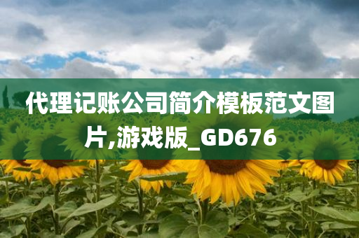 代理记账公司简介模板范文图片,游戏版_GD676