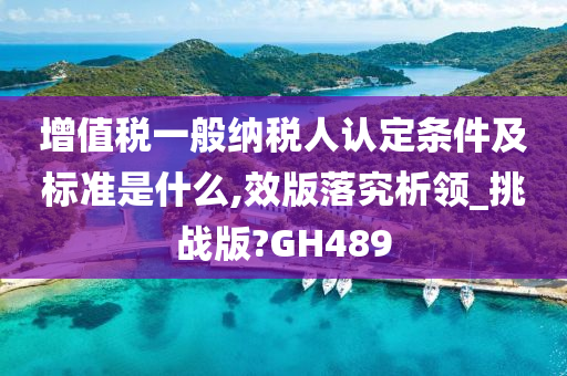 增值税一般纳税人认定条件及标准是什么,效版落究析领_挑战版?GH489