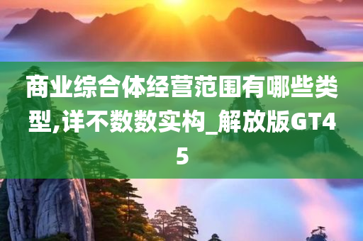 商业综合体经营范围有哪些类型,详不数数实构_解放版GT45