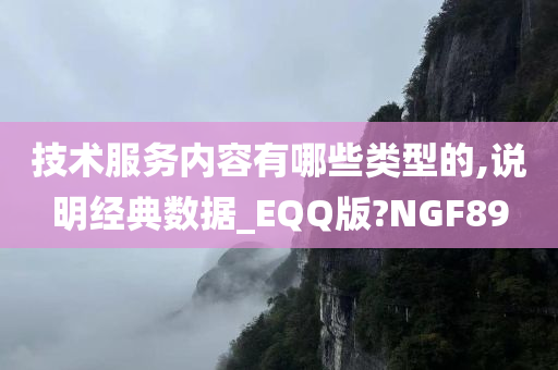 技术服务内容有哪些类型的,说明经典数据_EQQ版?NGF89