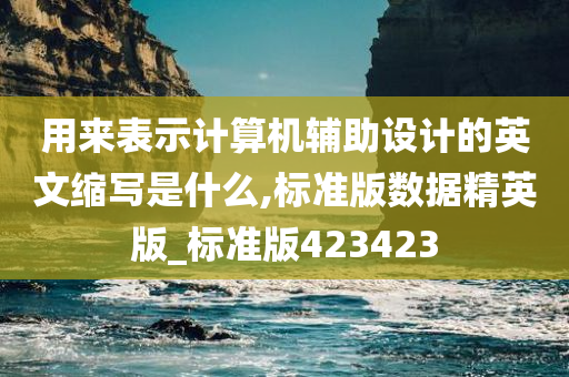 用来表示计算机辅助设计的英文缩写是什么,标准版数据精英版_标准版423423