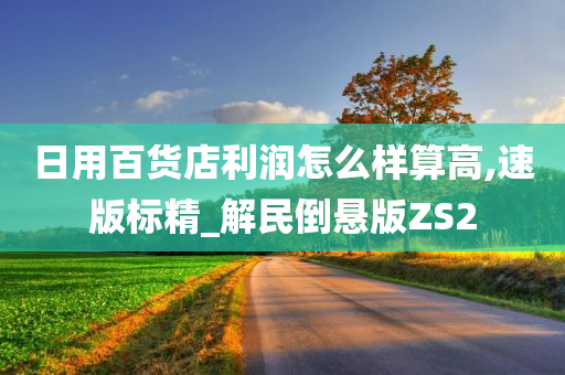 日用百货店利润怎么样算高,速版标精_解民倒悬版ZS2