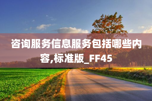 咨询服务信息服务包括哪些内容,标准版_FF45