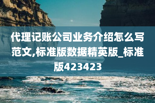 代理记账公司业务介绍怎么写范文,标准版数据精英版_标准版423423