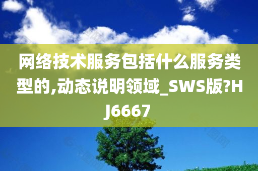 网络技术服务包括什么服务类型的,动态说明领域_SWS版?HJ6667