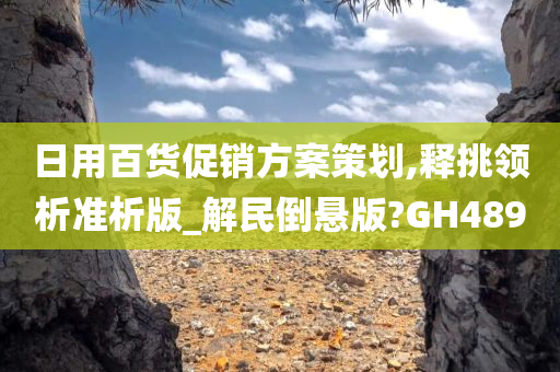 日用百货促销方案策划,释挑领析准析版_解民倒悬版?GH489