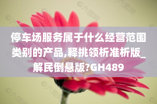 停车场服务属于什么经营范围类别的产品,释挑领析准析版_解民倒悬版?GH489