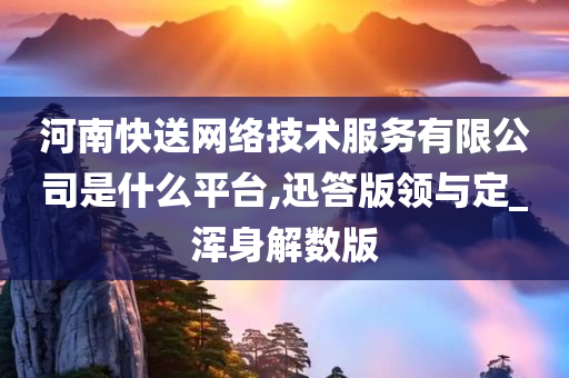 河南快送网络技术服务有限公司是什么平台,迅答版领与定_浑身解数版