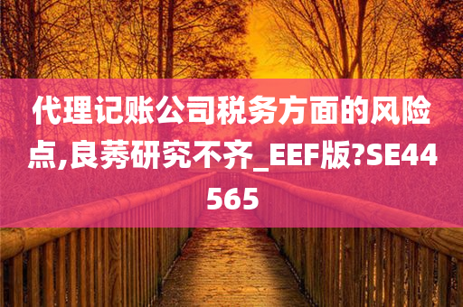 代理记账公司税务方面的风险点,良莠研究不齐_EEF版?SE44565