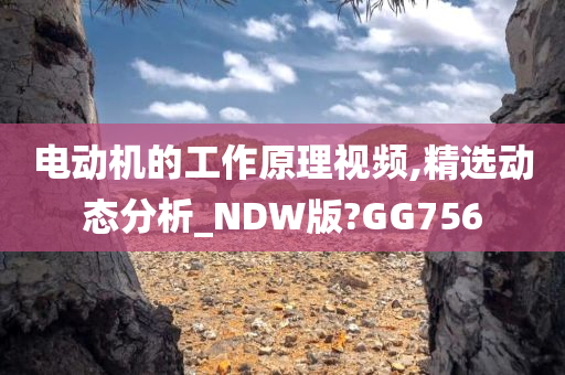 电动机的工作原理视频,精选动态分析_NDW版?GG756