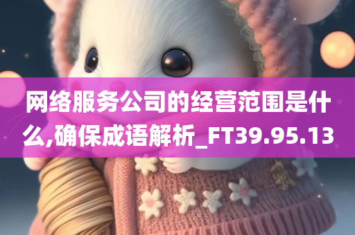 网络服务公司的经营范围是什么,确保成语解析_FT39.95.13