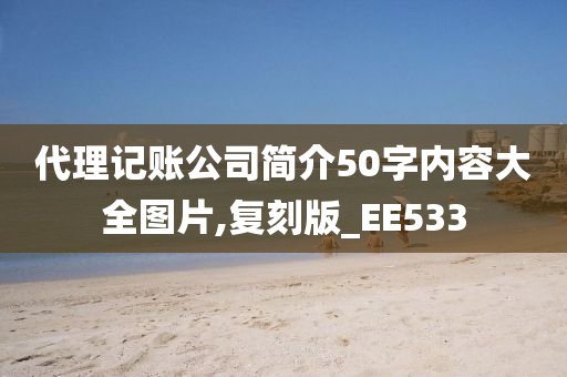 代理记账公司简介50字内容大全图片,复刻版_EE533