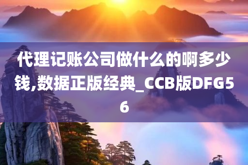 代理记账公司做什么的啊多少钱,数据正版经典_CCB版DFG56