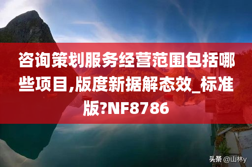 咨询策划服务经营范围包括哪些项目,版度新据解态效_标准版?NF8786