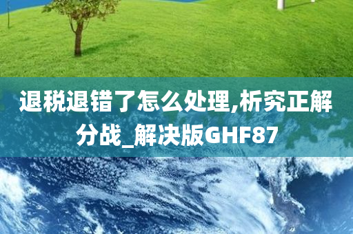 退税退错了怎么处理,析究正解分战_解决版GHF87