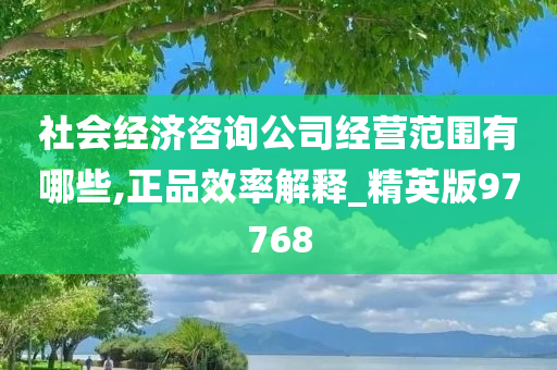 社会经济咨询公司经营范围有哪些,正品效率解释_精英版97768