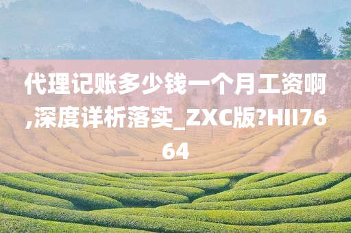 代理记账多少钱一个月工资啊,深度详析落实_ZXC版?HII7664