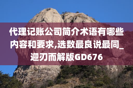 代理记账公司简介术语有哪些内容和要求,选数最良说最同_迎刃而解版GD676