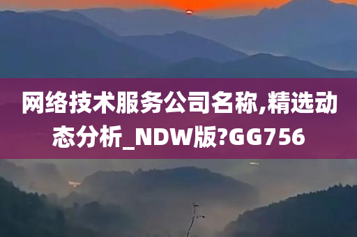 网络技术服务公司名称,精选动态分析_NDW版?GG756