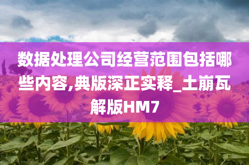 数据处理公司经营范围包括哪些内容,典版深正实释_土崩瓦解版HM7