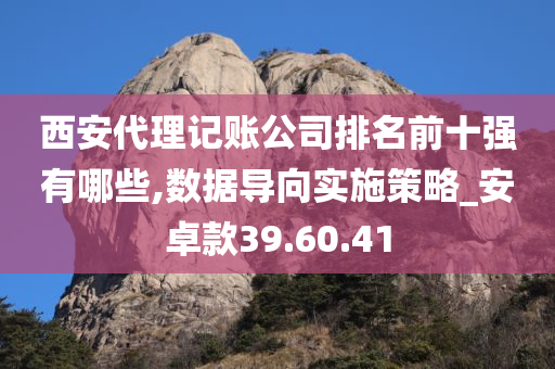 西安代理记账公司排名前十强有哪些,数据导向实施策略_安卓款39.60.41