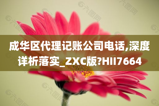 成华区代理记账公司电话,深度详析落实_ZXC版?HII7664