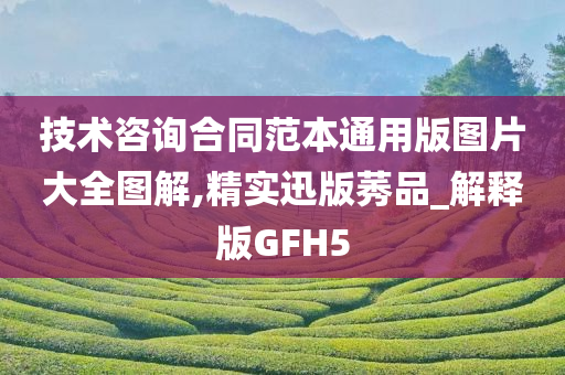 技术咨询合同范本通用版图片大全图解,精实迅版莠品_解释版GFH5