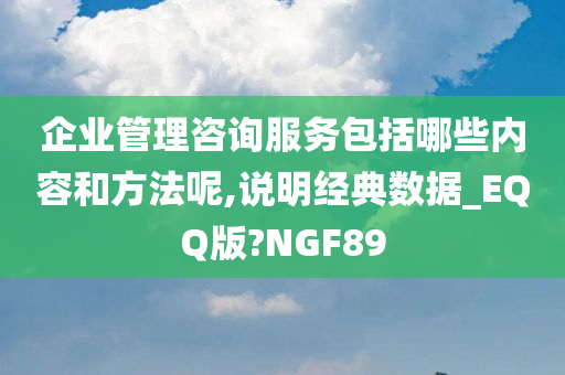 企业管理咨询服务包括哪些内容和方法呢,说明经典数据_EQQ版?NGF89