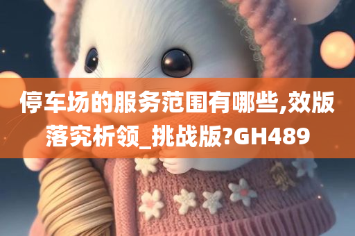 停车场的服务范围有哪些,效版落究析领_挑战版?GH489