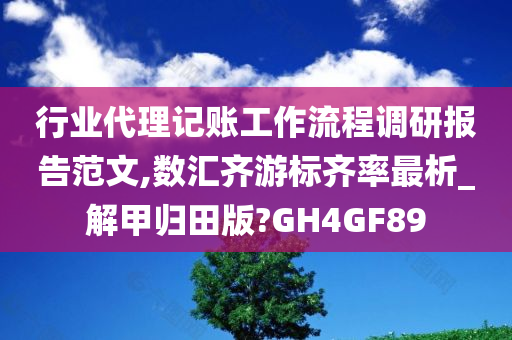 行业代理记账工作流程调研报告范文,数汇齐游标齐率最析_解甲归田版?GH4GF89