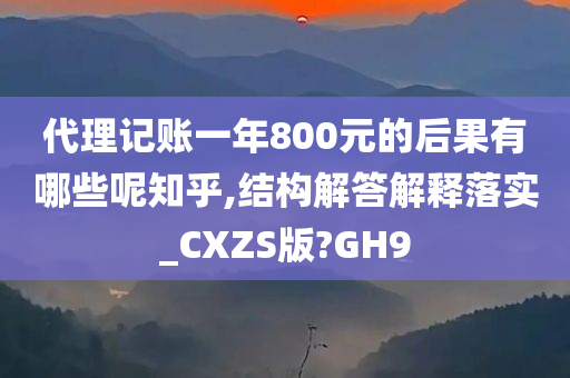 代理记账一年800元的后果有哪些呢知乎,结构解答解释落实_CXZS版?GH9