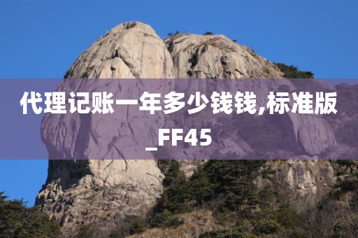 代理记账一年多少钱钱,标准版_FF45