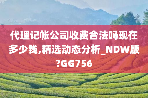 代理记帐公司收费合法吗现在多少钱,精选动态分析_NDW版?GG756