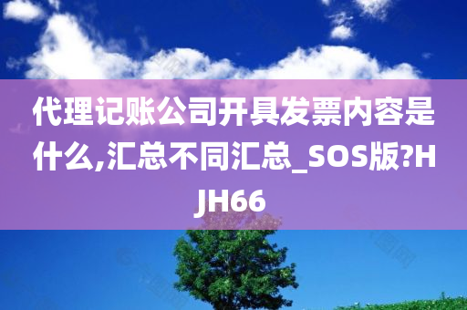 代理记账公司开具发票内容是什么,汇总不同汇总_SOS版?HJH66