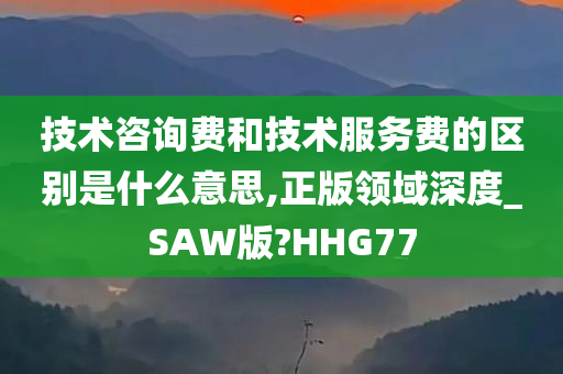 技术咨询费和技术服务费的区别是什么意思,正版领域深度_SAW版?HHG77