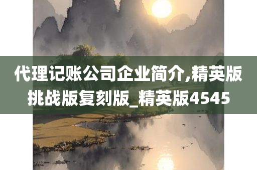 代理记账公司企业简介,精英版挑战版复刻版_精英版4545