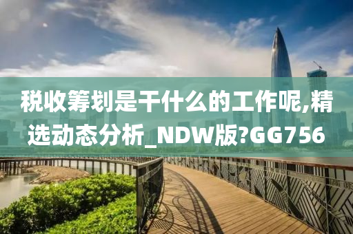 税收筹划是干什么的工作呢,精选动态分析_NDW版?GG756